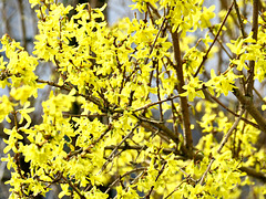 Der Frühling kommt