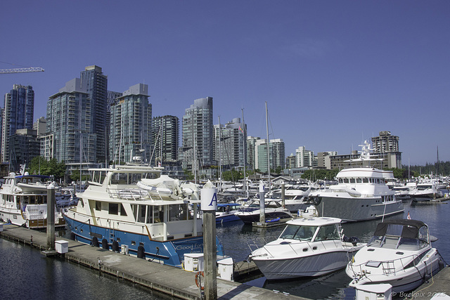 Coal Harbour Marina ... P.i.P. (© Buelipix)