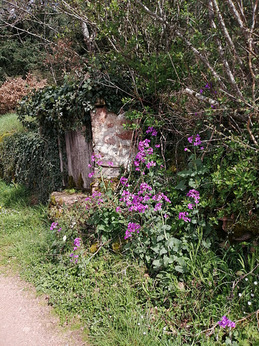 Le vieux puits The old well EXPLORER