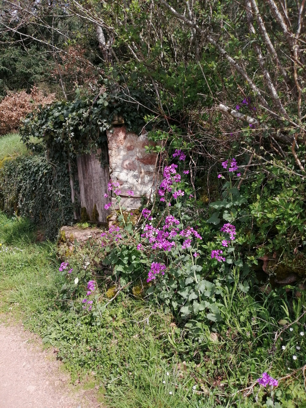 Le vieux puits The old well [EXPLORER]