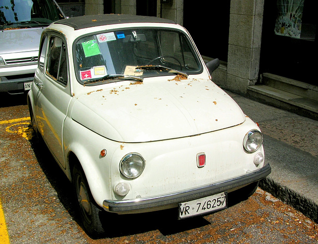 Fiat Cinquecento