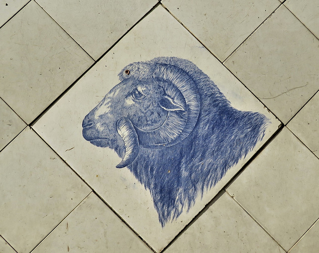 butcher's shop, ram tile, eastry ,kent (4)