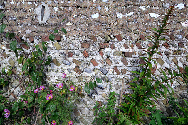 IMG 3309-001-Brick & Flint Wall IMG 3309-001-Brick & Flint Wall