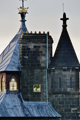 cardiff castle (234)