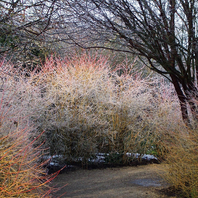 Anglesey Abbey 2013-01-17