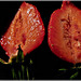 Pour la réponse à la devinette : Photo d'une fraise coupée en deux . Bonne dégustation ............