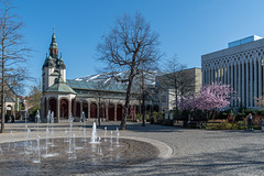 Zoo Leipzig, Blick zum Koala-Haus