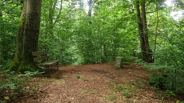 Auf dem Gipfel des Pleysteiner Sulzberges