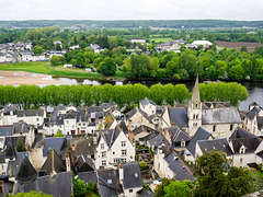 Chinon