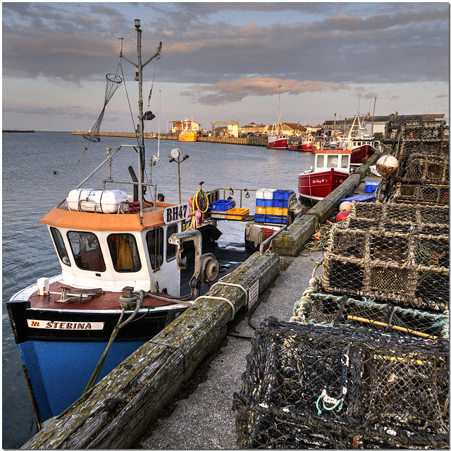 The Harbourside, Amble