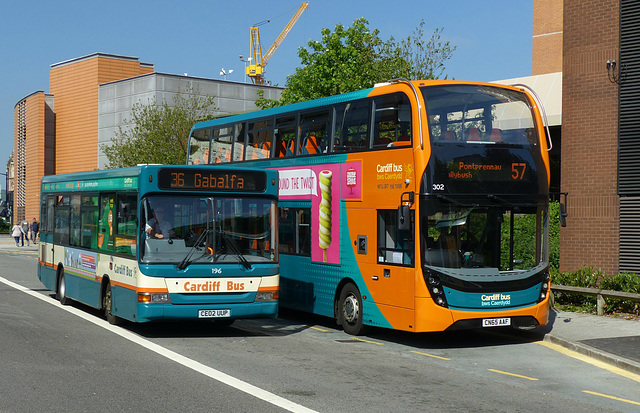 Cardiff Bus/Bws Caerdydd (15) - 3 June 2016