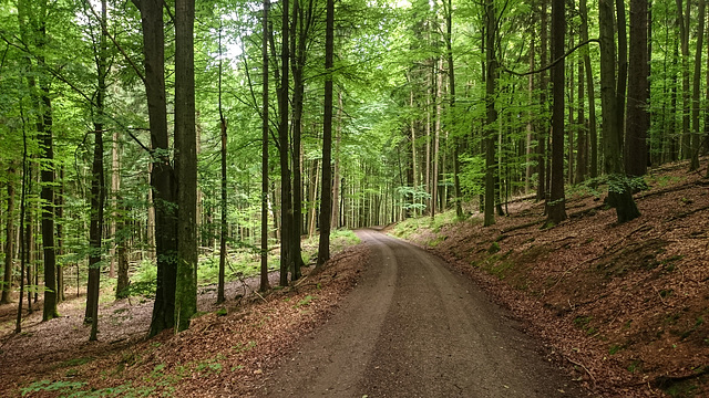 falsches Bild erwischt. Sollte eigentlich ein herrlicher Trampelpfad zum Gipfel zu sehen sein. Sorry.