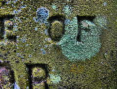 More Textures From Wallsend Cemetery