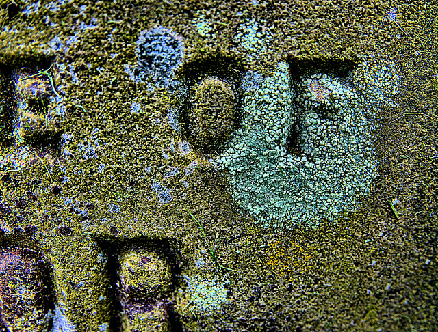 More Textures From Wallsend Cemetery