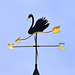 Black Swan weather vane.