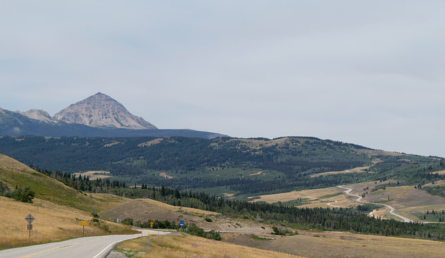 Glacier NP east US 89 (0261)