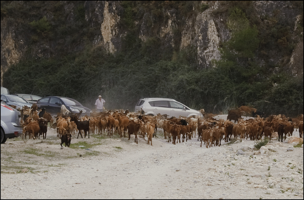 Convoy!