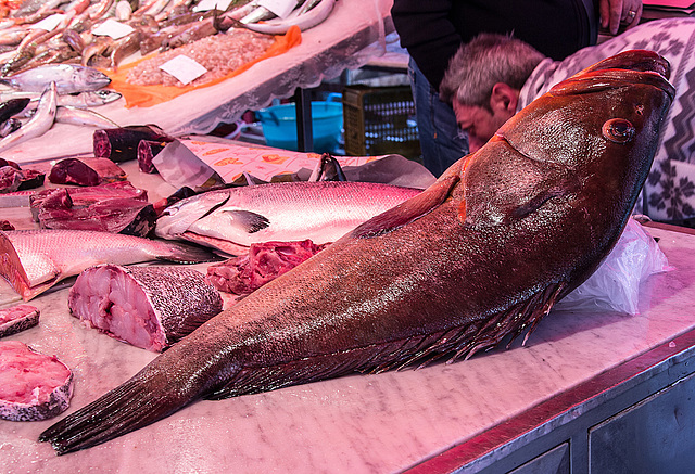 20160329 0844RVAw [R~I] Fischmarkt, Catania, Sizilien