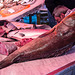 20160329 0844RVAw [R~I] Fischmarkt, Catania, Sizilien