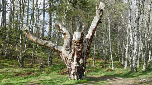 At the Frank Bruce Sculpture Trail, Feshie.