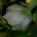 DSCF3512