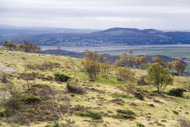 Arnside and the Kent estuary from Whitbarrow