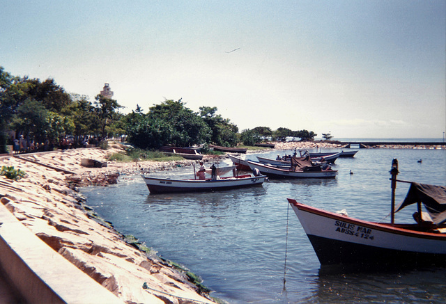 Barque Sulis Mar en vedette