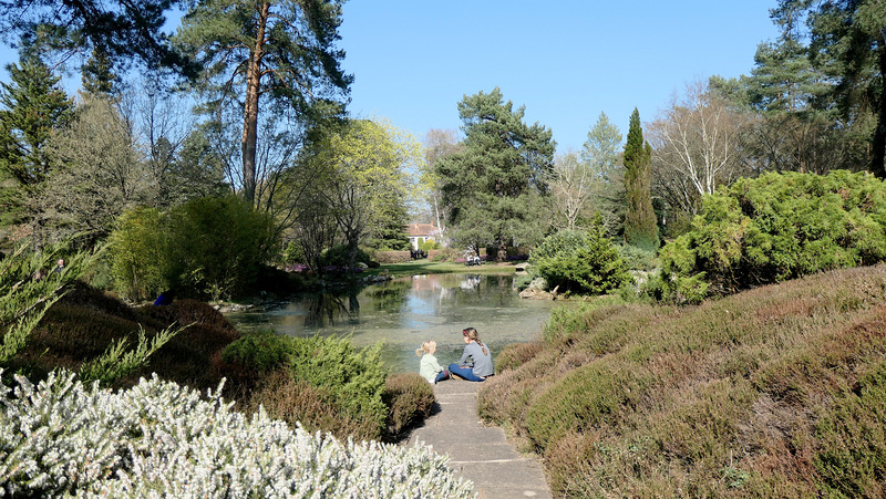 Un bel après-midi à l'Arborétum...