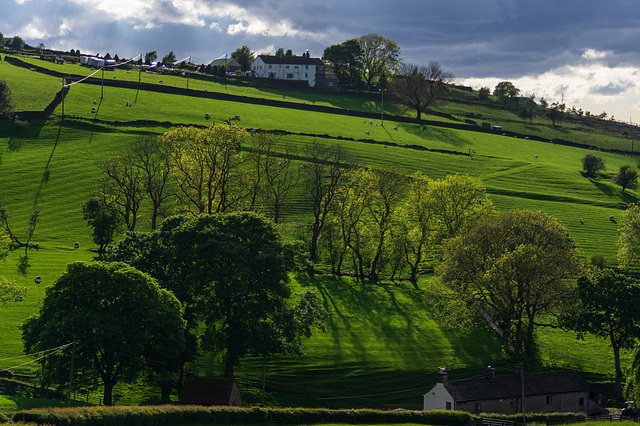 Brownhill into the sun