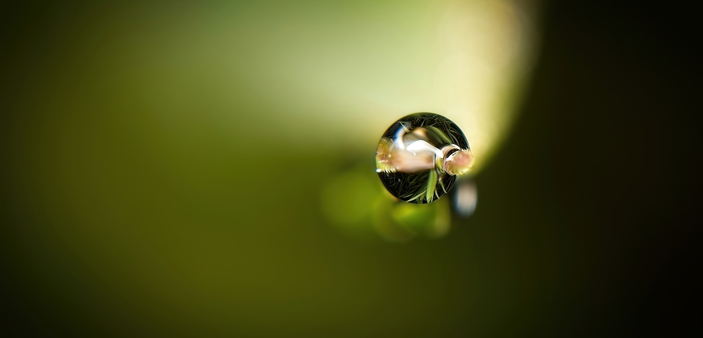 Der Regentropfen sieht aus wie eine Glasmurmel :))  The raindrop looks like a glass marble :))  La goutte de pluie ressemble à une bille de verre :))