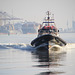 Weser Pilot    Bremerhaven