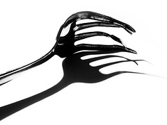 Fork !!