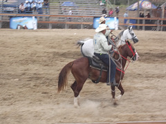 Cowboys et lassos.