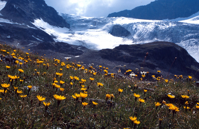 Dans le massif du Piz-Buin - Vorarlberg - Autriche