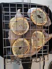 Algarve people say that the bream fish is the best for grilling