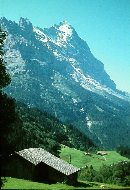 Der Eiger