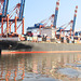 COSCO  GLORY