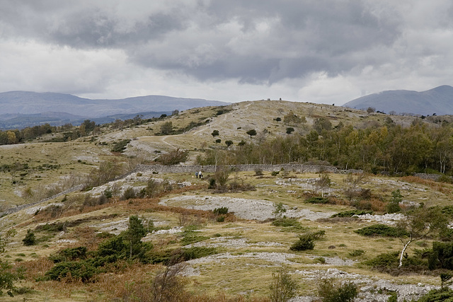 Whitbarrow, Lake District National Park