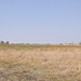 Tiuj ebenaĵoj tute kovriĝas per akvo dum la pluva sezono. Okavango-Delto