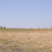 Tiuj ebenaĵoj tute kovriĝas per akvo dum la pluva sezono. Okavango-Delto