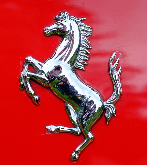 Ferrari badge ( Selfie)