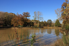 couleurs de l'automne par très beau temps