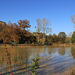 couleurs de l'automne par très beau temps