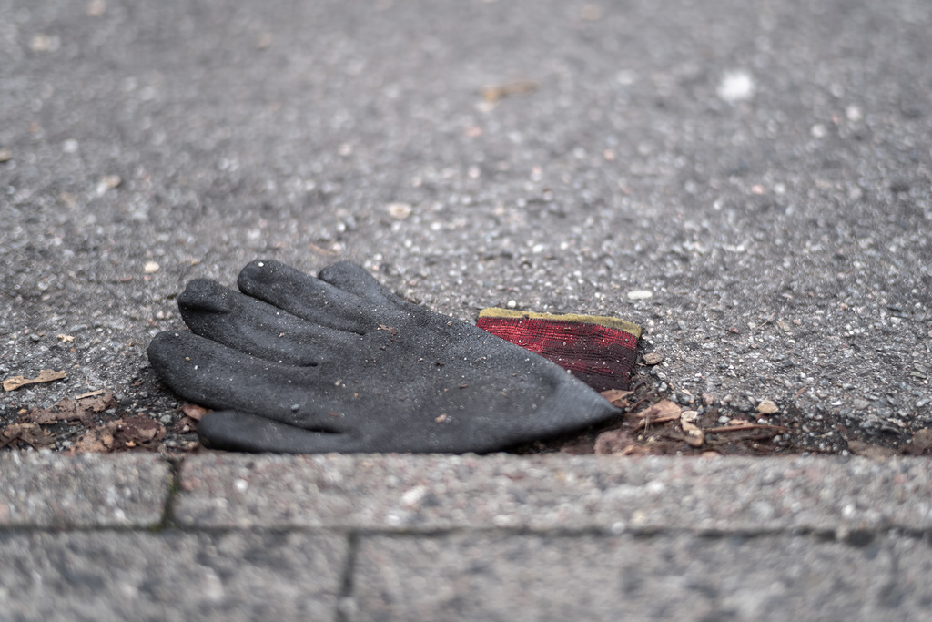 Just another lost glove (28.12.2018)