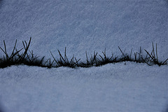 Little Snowy Landscape
