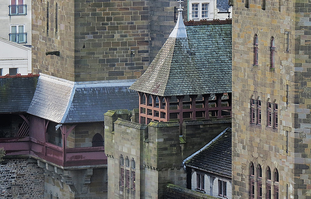 cardiff castle (238)