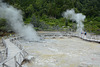 Azores, Island of San Miguel, Fumaroles  near the Lake of Furnas