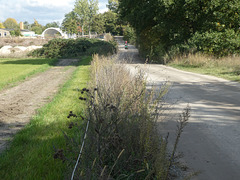 Südlicher Abschnitt des Schenkendorfer Weges in Stahnsdorf (kurz vor der L77neu im Rücken des Kamerastandortes)
