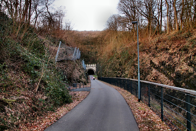 Radweg auf der ehem. Rheinischen Eisenbahn (Schwelm) / 27.01.2024