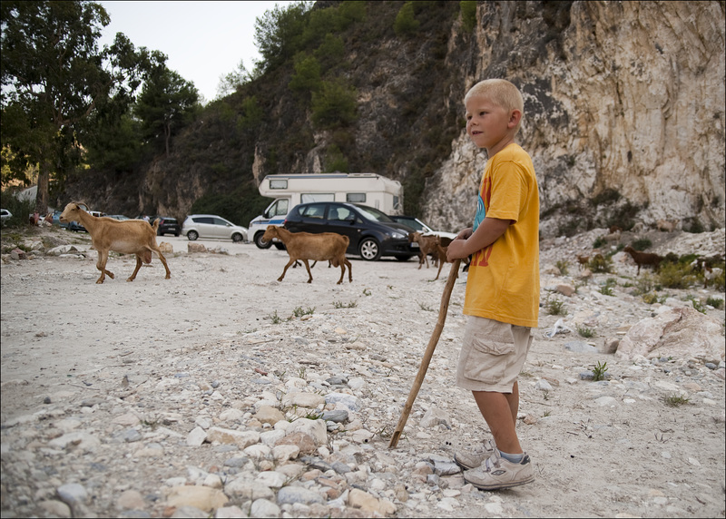 Shepherd boy